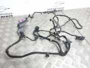 Kabel Tür vorne rechts OPEL INSIGNIA A Sedan (G09) 2.0 CDTI (69) 22895885 613556841