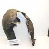 Innenkotflügel vorne rechts FORD KUGA III (DFK) 1.5 EcoBlue LJ6B16034CE