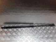 Heckklappe Gasdruckfeder rechts VW CADDY III Furgon (2KA, 2KH, 2CA, 2CH) 1.9 TDI 2KO827550