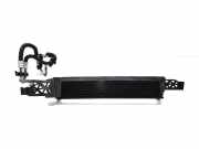 Ölkühler für Automatikgetriebe Ford Kuga II (DM2) FV417A095AB