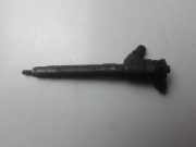 Einspritzdüse RENAULT SCÉNIC III (JZ0/1_) 1.9 dCi 0445110414