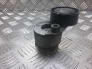 Riemenspanner RENAULT MEGANE II (BM0/1_, CM0/1_) 1.5 dCi (BM0F, CM0F) 8200460446