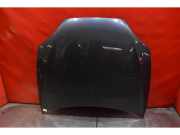 Motorhaube Tesla Model S (5YJS)