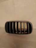 Vorderer oberer Gitter BMW X6 (F16, F86) xDrive 30 d 7316058