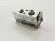 Expansionsventil für Klimaanlage VW Passat B6 (3C2) F666902ZF