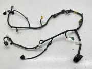 Kabelbaum Hinteren Parksensoren KIA NIRO E-NIRO 2208220129 91880A0021