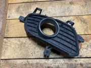 Nebelscheinwerfer links MERCEDES-BENZ A (W169) A 180 CDI (169.007, 169.307) a1698850822
