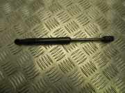 Gasfeder für Motorhaube Renault Scenic III (JZ) 654700008R