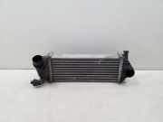 Ladeluftkühler RENAULT KANGOO / GRAND KANGOO (KW0/1_) 1.5 dCi 144963234R