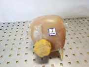 Ausgleichsbehälter FIAT CROMA (194_) 1.9 D Multijet 9202200