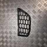 Ziergitter BMW X3 (G01, F97) 8065193