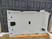 Dachverkleidung HYUNDAI TUCSON (TL, TLE) 1.7 CRDi 195066481