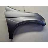 Kotflügel vorne rechts HONDA CR-V III (RE_) 2.4 i-VTEC 4WD (RE7)