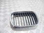 Kühlergrill oben BMW 5er (E39)