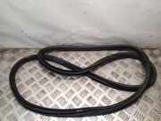 Türdichtung Nissan Juke (F15)