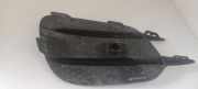 Gitter vorne unten MERCEDES-BENZ E (W213) E 220 d (213.004) A2138856800