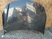 Motorhaube OPEL INSIGNIA A Estate (G09) 2.0 CDTI (35)