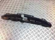 Anzeigetafel Rahmen SUBARU LEGACY V (BM) 2.0 D AWD 91165AJ010