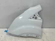 Kotflügel vorne links FORD TRANSIT 2.0 TDCi PBK31-V16006-AL