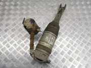 pneumatischer Stoßdämpfer hinten rechts AUDI A8 D3 (4E2, 4E8) 3.0 TDI quattro 0610041603 4E0616002F