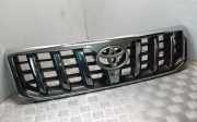 Vorderer oberer Gitter TOYOTA LAND CRUISER 120 (_J12_) 3.0 D-4D (KDJ120, KDJ125)