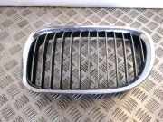 Vorderer oberer Gitter BMW 7 (F01, F02) 740 d 7211657