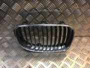 Kühlergrill links BMW 1er Coupe (E82) 7166440