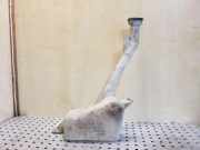 Fensterwaschtank RENAULT ESPACE III (JE0_) 2.2 dCi (JE0K) 6025305998