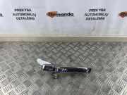 Türaußengriff hinten links HONDA CR-V III (RE_) 2.2 i-CTDi 4WD (RE6)