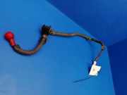 Kabelbaum NISSAN NOTE (E11, NE11) 1.5 dCi