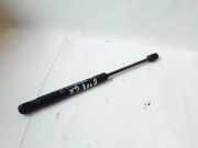 Heckklappe Gasdruckfeder rechts PEUGEOT 407 Coupe (6C_) 2.7 HDi 9650870280