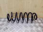 Schraubenfeder hinten links