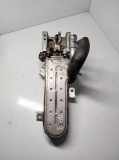 AGR-Kühler VW GOLF IV (1J1) 1.9 SDI 038131513D