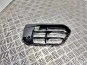 Kühlergrill unten BMW 1er (F40)