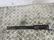 Stoßdämpfer hinten links MERCEDES-BENZ E (W213) E 220 d (213.004) A2133201030