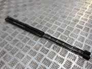 Heckklappe Gasdruckfeder links BMW 3 Touring (E91) 318 i