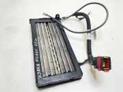 Kühler Citroen Xsara Picasso (N68) C383171