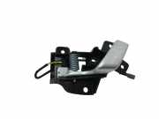 Türöffner innen links hinten Tesla Model S (5YJS) 100843500E