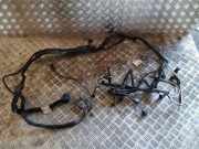 Kabel Motor VW Passat B6 CC (357) 03L972619BF