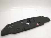 Zierleiste Honda CR-V III (RE)