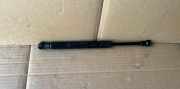 Heckklappendämpfer links BMW X5 (E70) 9149120