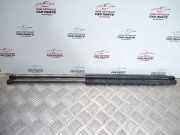 Heckklappendämpfer links Citroen Xsara Picasso (N68) 9657577080