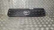 Vorderer oberer Gitter TOYOTA RAV 4 II (_A2_) 2.0 4WD (ACA21, ACA20) 5311142070