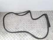 Türdichtungsgummi hinten links RENAULT KOLEOS II 2.0 dCi 175 4WD 828313331R