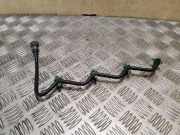 Kraftstoffleitung Ford Transit Connect (P*2)