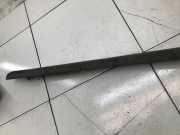 Schwellerinnenverkleidung vorne links