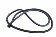 Türdichtungsgummi vorne links LEXUS GS III (GRS19_, UZS19_, URS19_) 450h (GRS196_, GRS191_)