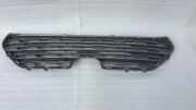 Vorderer oberer Gitter TOYOTA RAV 4 V (XA50) FWD LE 2.5 5311242190
