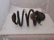 Schraubenfeder hinten links