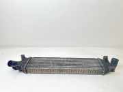 Ladeluftkühler Ford Focus II Turnier (DA, DS, FFS) 3M5H9L440AE